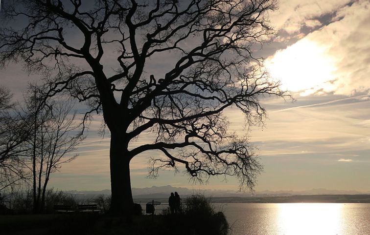 k-00 17-12-31 meersburg1.rot-rot